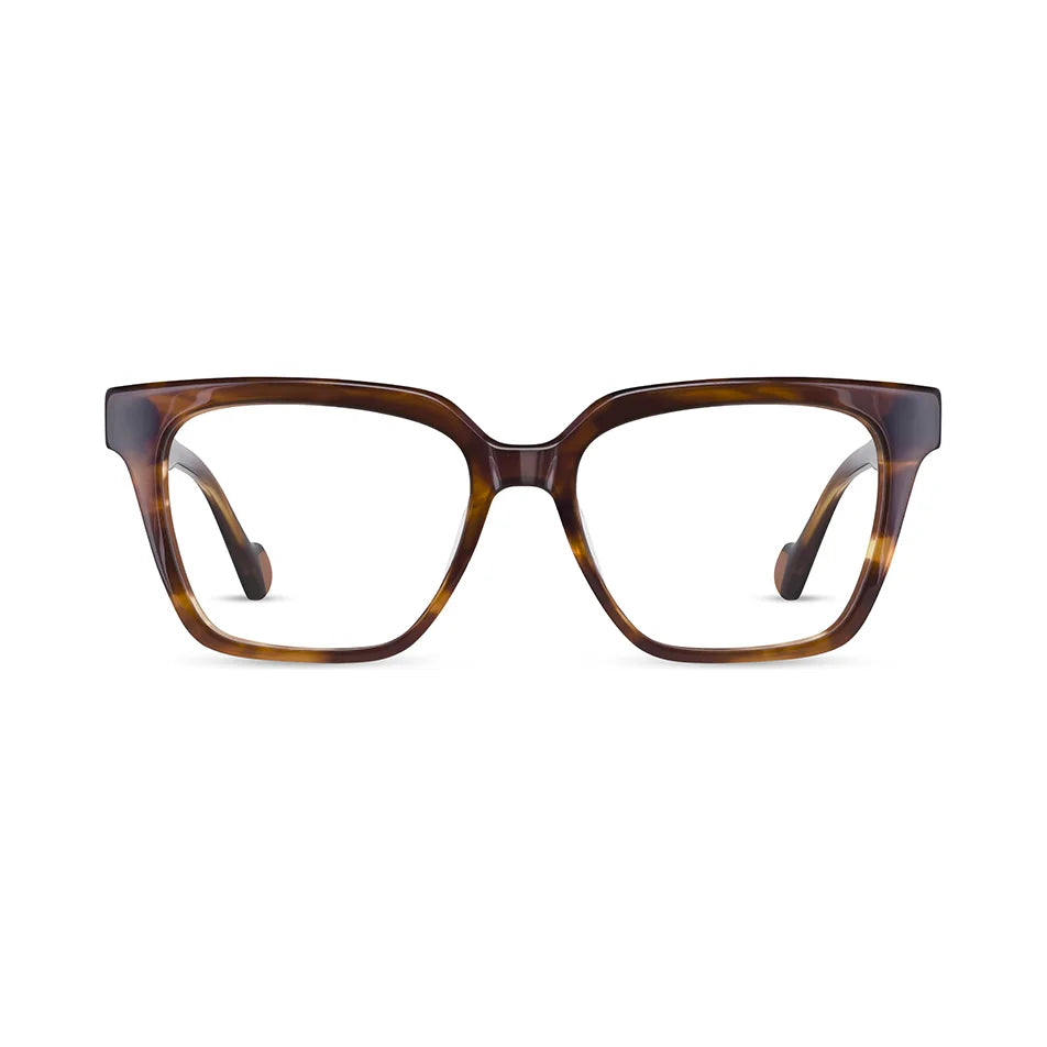 Cocoa Mint CM9169 Castanho